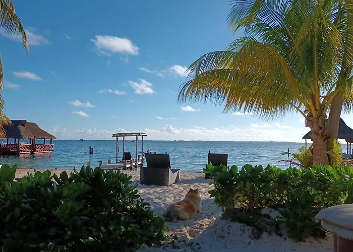 Cancun Private Apartment